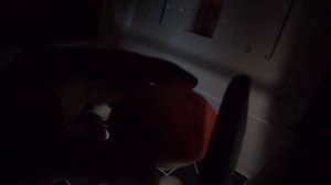 инкубатор "несушка". 14 день инкубации куриных яиц.овоскопирование.