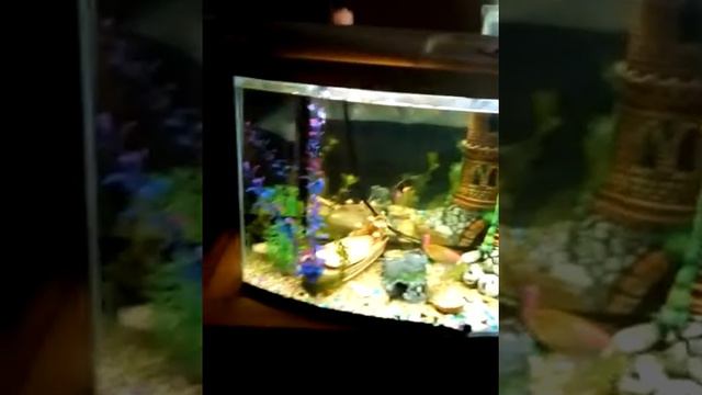 Будни Аквариумиста. День 2 смотреть онлайн