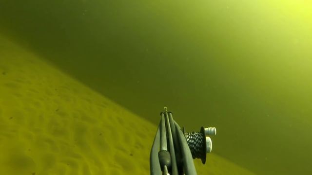 Подводная охота "Волгоград" смотреть онлайн