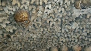 Катакомбы Парижа. Был там куда вход запрещён, и видел то что нельзя.