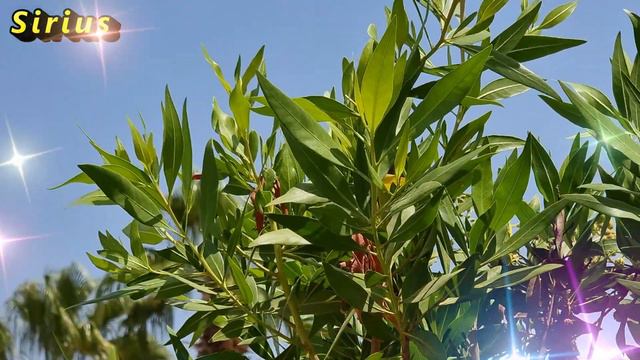 15 апреля - день Тита Чудотворца: что категорически нельзя делать смотреть онлайн