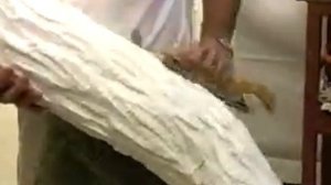 Мастер класс изготовление декорации дерева из пенопласта своими руками, рукоделие,