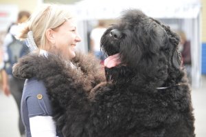 Собака Сталина. Как по приказу вождя народов вывели секретную породу собак