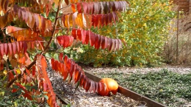 КРАСИВЫЙ ФАРТУК СВОИМИ РУКАМИ. ОБЕРЕЖНАЯ ОДЕЖДА. смотреть онлайн