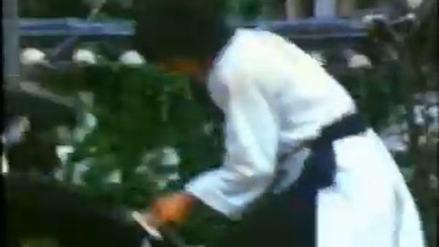 Jackie Chan's Best Fights 2 смотреть онлайн