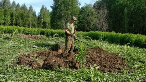 Лето в разгаре - приступаю к шурфам #434