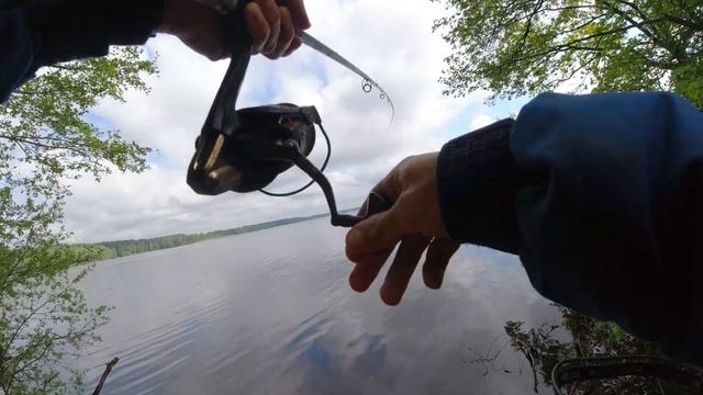 Когда не клюет . Рыбалка на фидер в бесклевье. Чигиринксоке водохранилище смотреть онлайн
