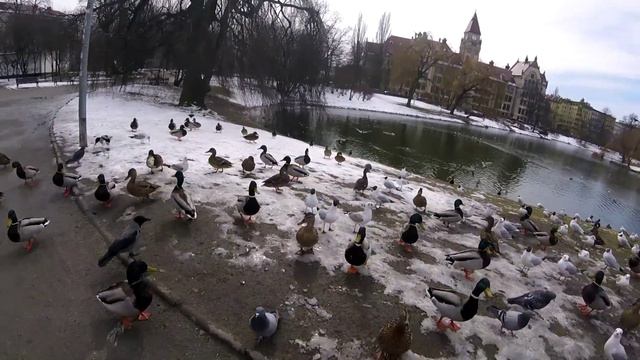 Из Польши в Украину. Варшава. Вроцлав смотреть онлайн