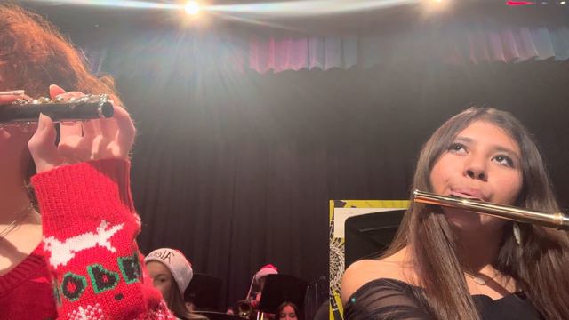 sleigh ride from a flute and piccolo perspective смотреть онлайн