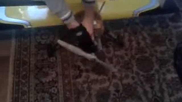 Как завести двигатель в самолете