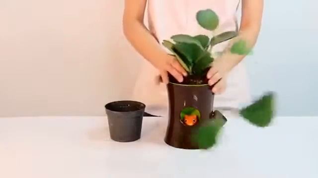 Cамополивающийся горшок c индикатором добавления воды!!! смотреть онлайн