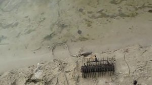 Поиск на пляже.Поисковые грабли.