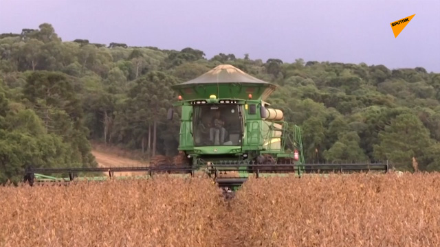 Nông Dân Trên Khắp Thế Giới đang Thất Thu