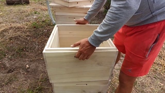 САМЫЙ ДЕШЁВЫЕ УЛЬЯ ДАДАН