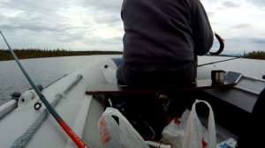 ✔Рыбалка на сига/Кольский Полуостров/2020/Ловим на мормышки и опарыш/