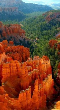 Игорь_Кибирев_-_Назову_Любимою_(DriveMusic.me).mp3