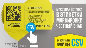 Как создать и напечатать этикетку из CSV файла с кодами маркировки Честный ЗНАК  #BestGenerator_ZNAK
