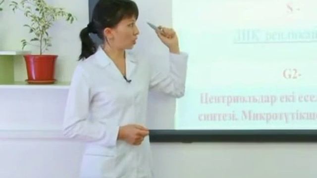 Медициналык биология жане генетика Клетка Метоз 2. Алматова А. смотреть онлайн