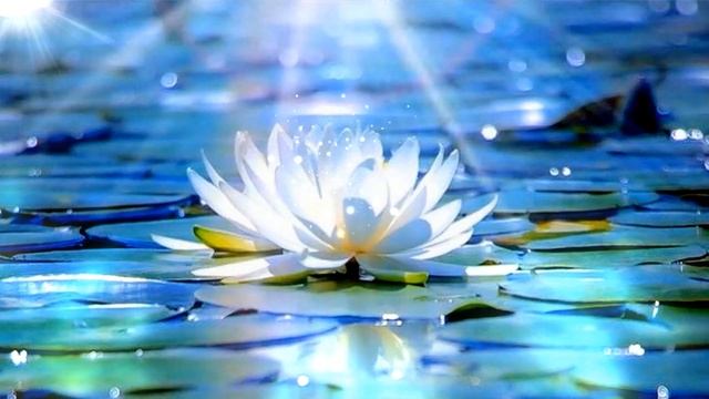 MEDITATION - OM MANI PADME HUM смотреть онлайн