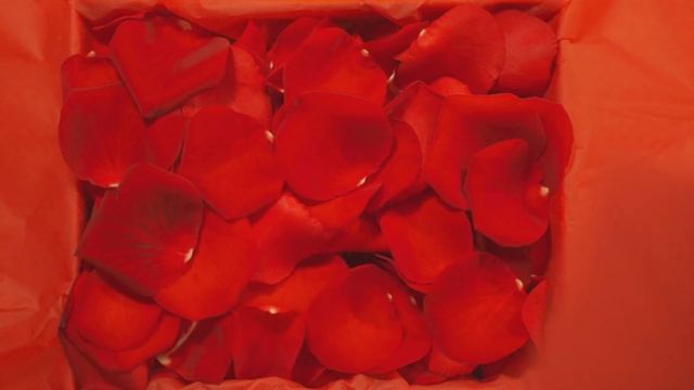 Cuva — подарочные сертификаты на отдых в отелях России в упаковке неземной красоты смотреть онлайн