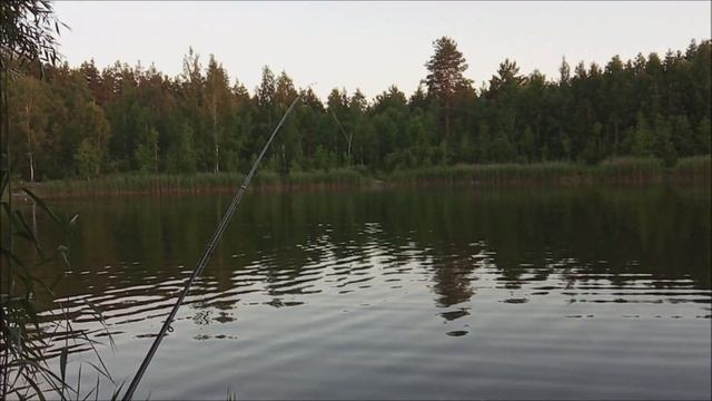 ЖОР МАЛЬКОВ!!! РЫБЫ НЕТ, НО ВЫ ДЕРЖИТЕСЬ! смотреть онлайн