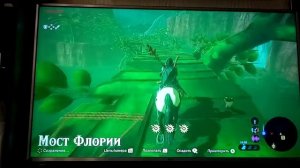 Зельда. Конюшня «Озерная». В Фараонских краях.