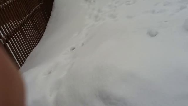 Фонтаны дерьма в квартирах наукограда Фрязино смотреть онлайн