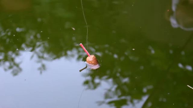 Пасха 2014. Севастопольцы о Референдуме 2014 в Крыму. смотреть онлайн