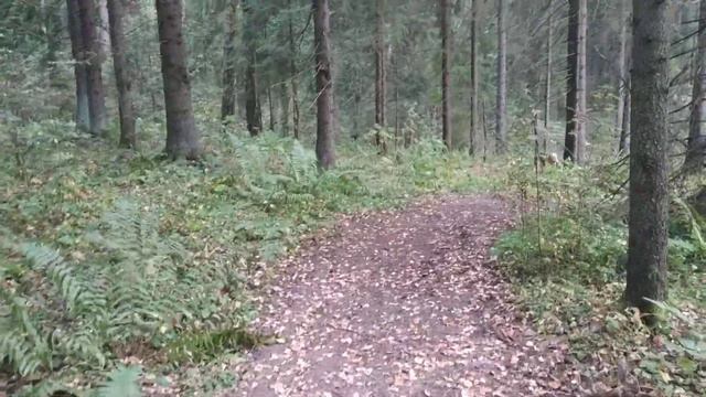 БОЛЕЕМ смотреть онлайн