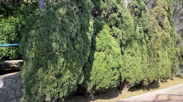 В Крыму построили ДВОРЕЦ! Мы приехали в поселок Кореиз, прогуляться по парку, НО УВИДЕЛИ НЕОПИСУЕМО смотреть онлайн