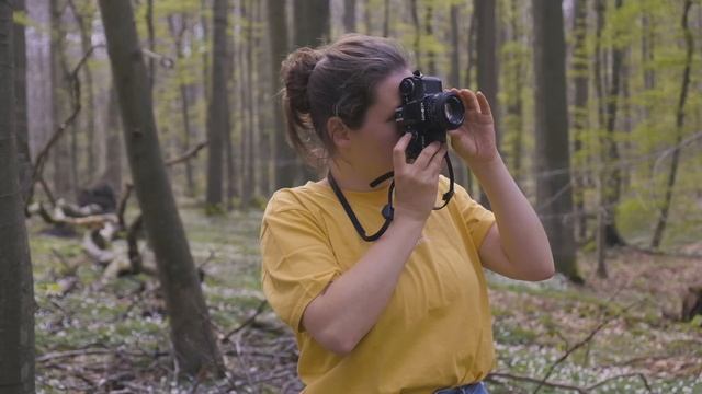 Photo Walk in the Sonian Forest (Brussels) | Minolta X-700 and Kodak Gold 200 смотреть онлайн