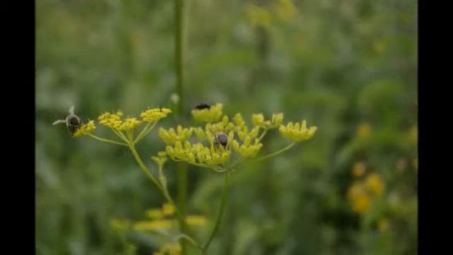женское предназначение принятие себя и своей женской сути смотреть онлайн