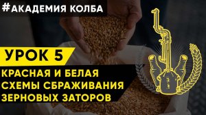 Красная и белая; схемы сбраживания зерновых заторов. Урок 5, зерновое самогоноварение