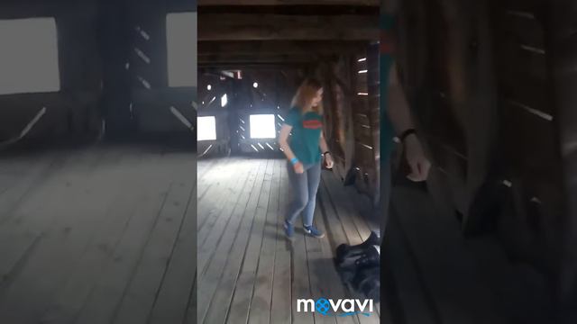 "Сонькина лагуна" смотреть онлайн