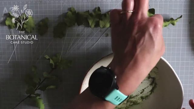 Gumpaste Pittosporum Tenuifolium Sugar Foliage Tutorial (Gumpaste / Flower Paste) смотреть онлайн