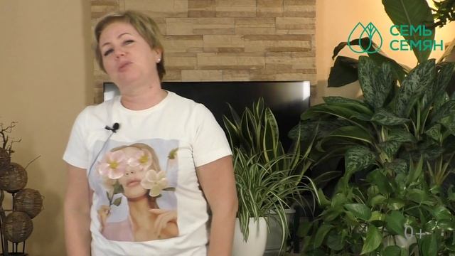 КОМНАТНОЕ ЦВЕТОВОДСТВО ДЛЯ НАЧИНАЮЩИХ! 5 САМЫХ НЕПРИХОТЛИВЫХ ЦВЕТКОВ! смотреть онлайн