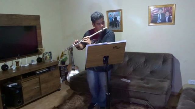 Concerto para flauta e orquestra - Bernhard Romberg смотреть онлайн