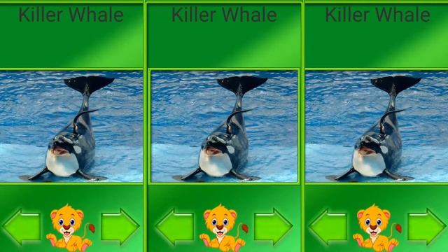 Animals Learning HD Learning Animals Sounds For Toddlers Learning Wild Animals Sounds For Kids