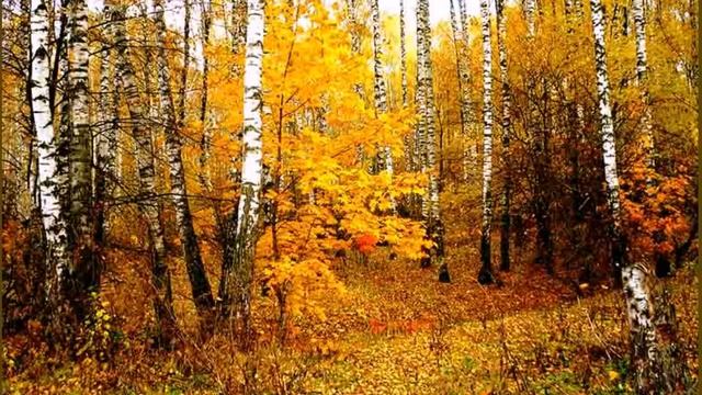 и. бунин листопад смотреть онлайн