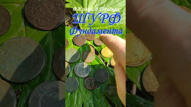 Много Монет Империи на Шурфе? #шурф #коп #металлоискатель смотреть онлайн