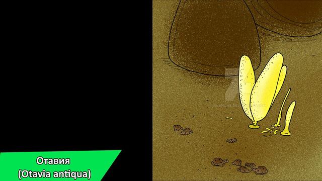 Развитие жизни на Земле (The Evolution of Life) - 3 древнейших формы жизни смотреть онлайн