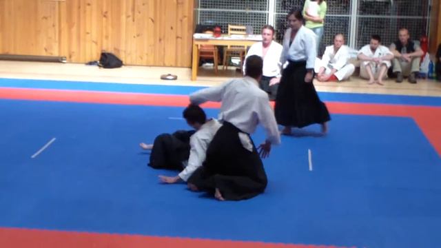 Aikido Spartak Sobeslav - ukazka Tabor, 18.5.2013 смотреть онлайн