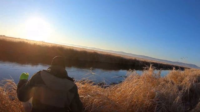 РЫБАЛКА, РЕКА!/ НОЧУЕМ НА БОЛОТЕ!/ НАЛИМ, ЩУКА, ОКУНЬ, СОРОГА, ЁРШ! смотреть онлайн