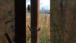 Натягиваем колючую проволку.