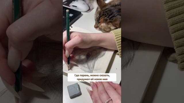 РИСУЮ КОШКУ, БЫСТРЫЙ СКЕТЧ ?