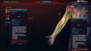 Моноструна Cyberpunk 2077, где найти, как установить, использовать. Киберпанк