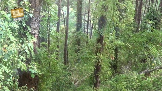 Дача Сталина в Абхазии. Холодная речка (Багрипш, Гагра) смотреть онлайн