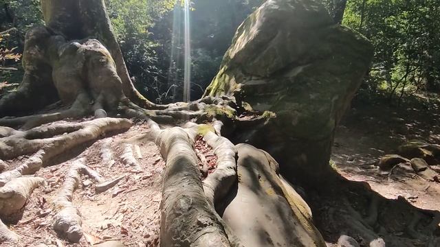 Кайф. Вся сила внутри.. Волконский дольмен, 31.08.23 ПОЛНОЛУНИЕ смотреть онлайн