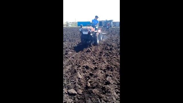 посадка картофеля на tz-4k-14 смотреть онлайн