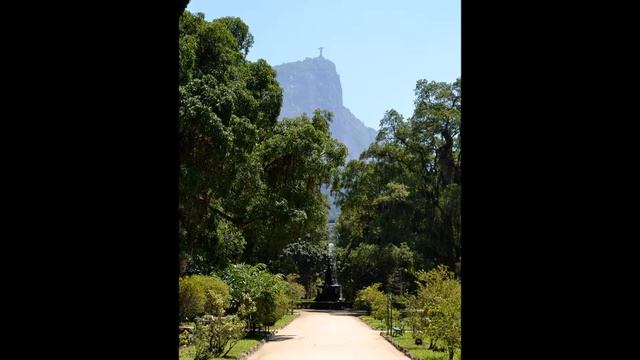 Ботанический сад в Рио-де-Жанейро (Бразилия) смотреть онлайн